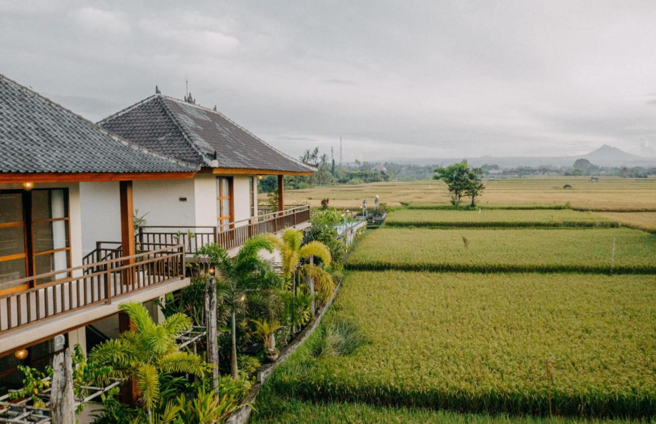 Business 44 in Ubud Lodtunduh 16