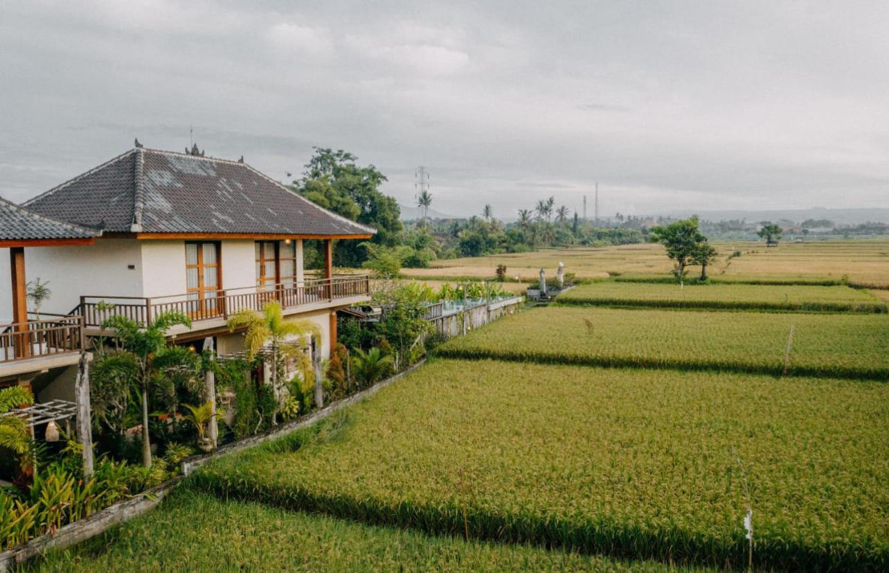 Business 44 in Ubud Lodtunduh 28