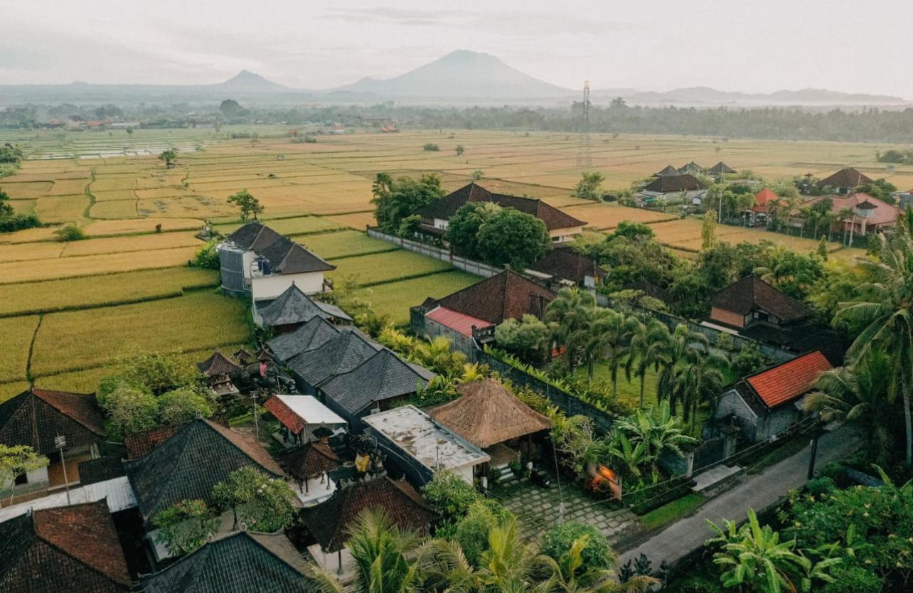 Business 44 in Ubud Lodtunduh 3