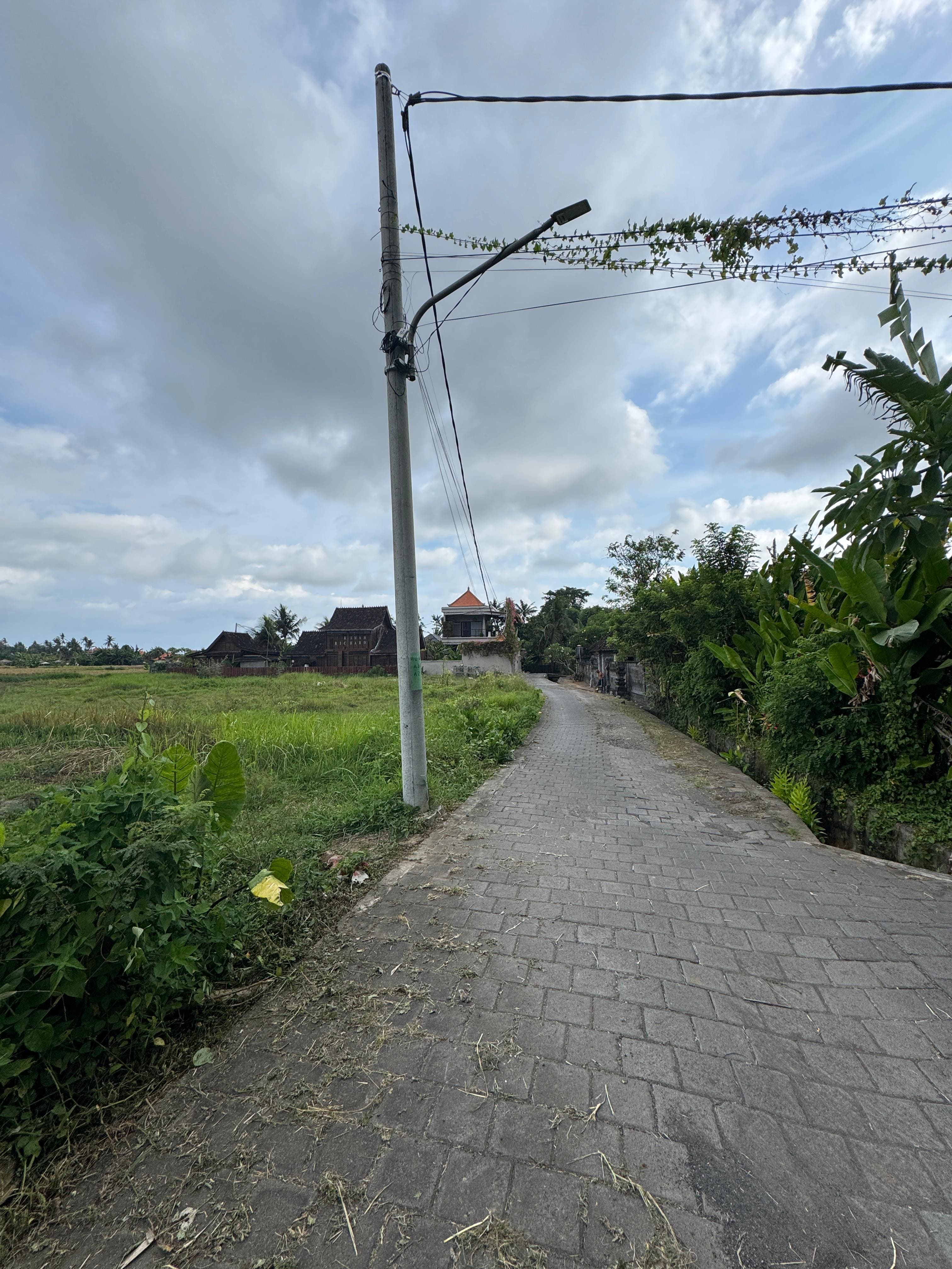 Land 34 in Ubud Lodtunduh 1