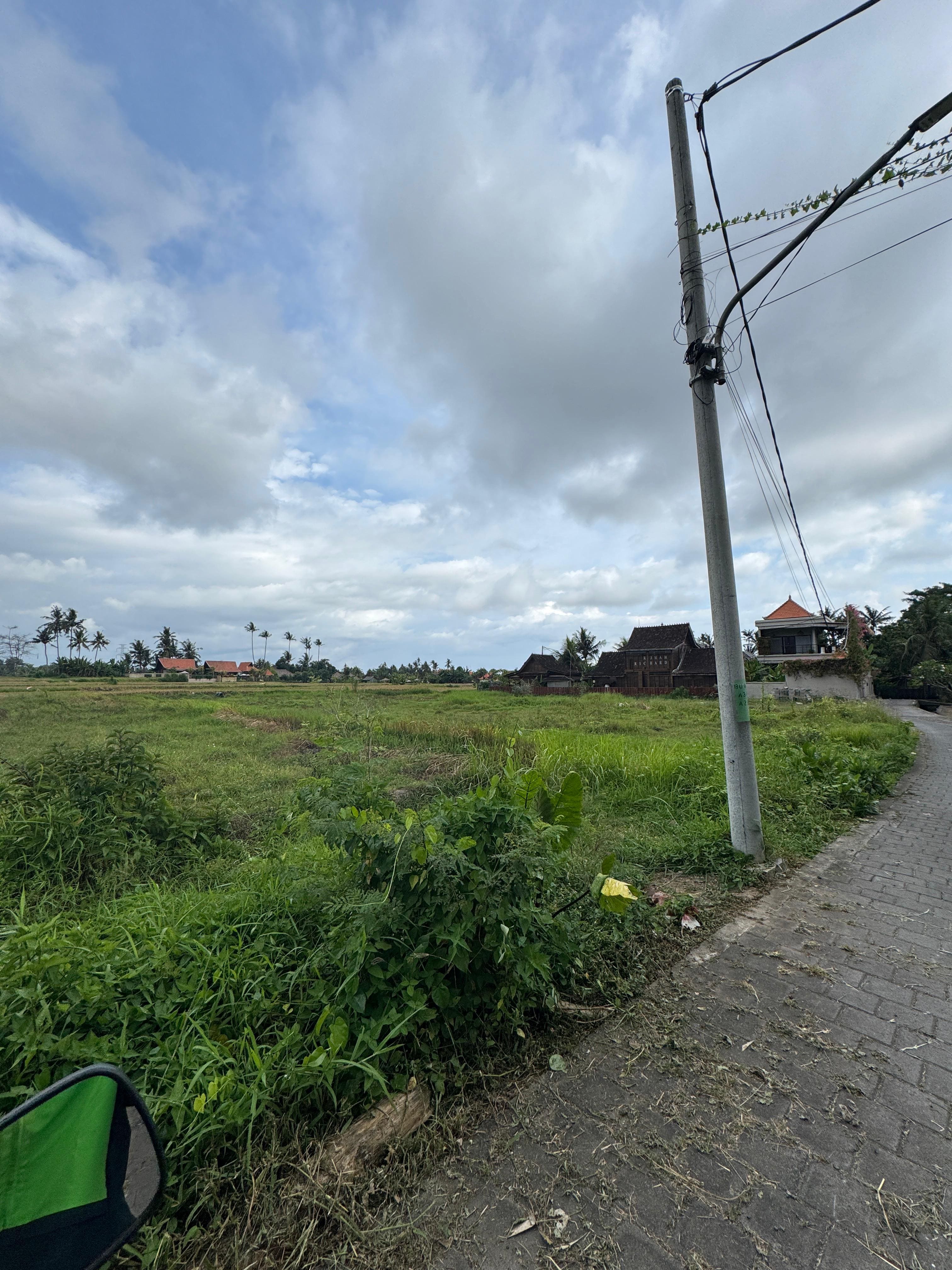 Land 34 in Ubud Lodtunduh 2