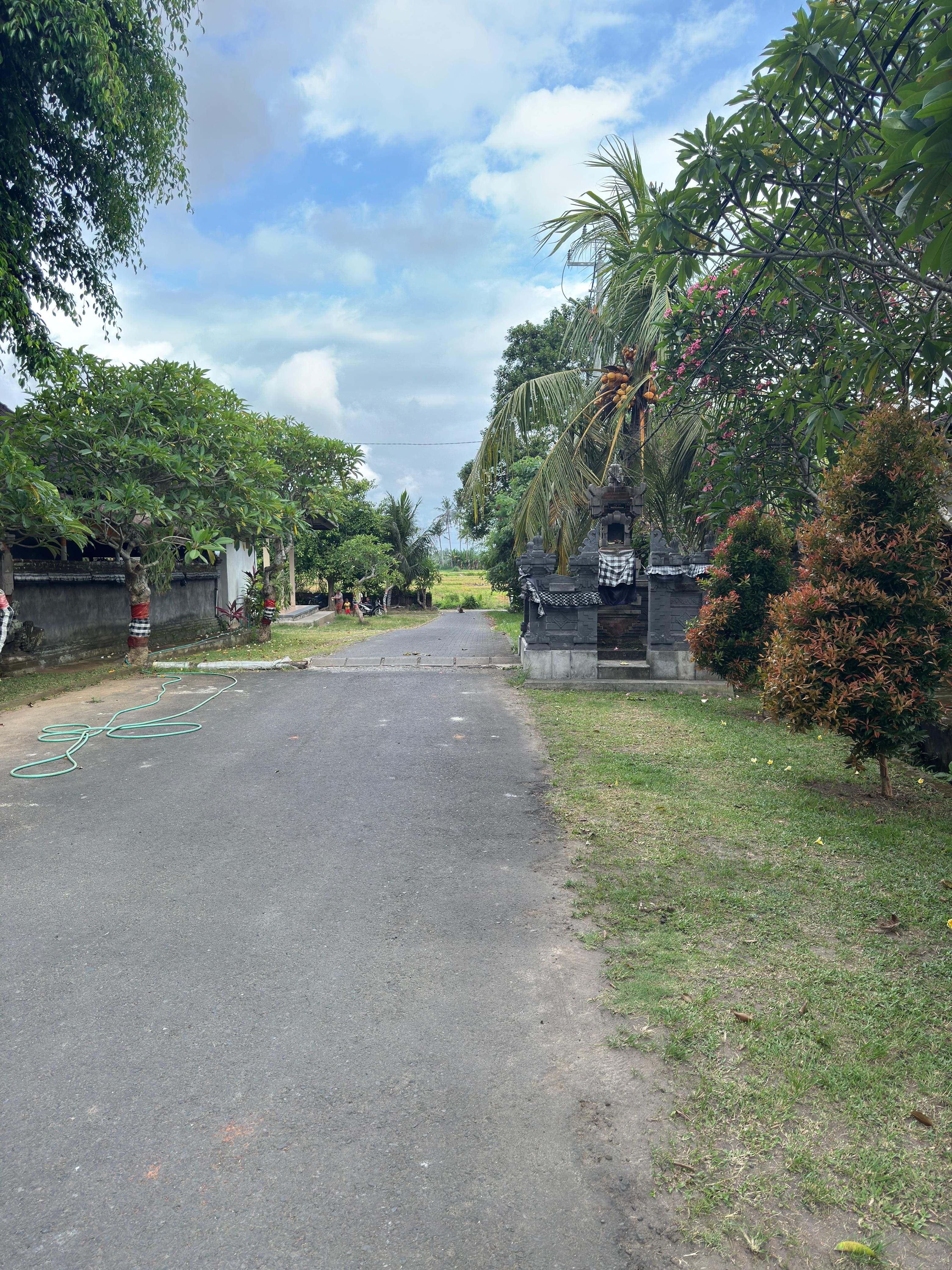 Land 34 in Ubud Lodtunduh 5