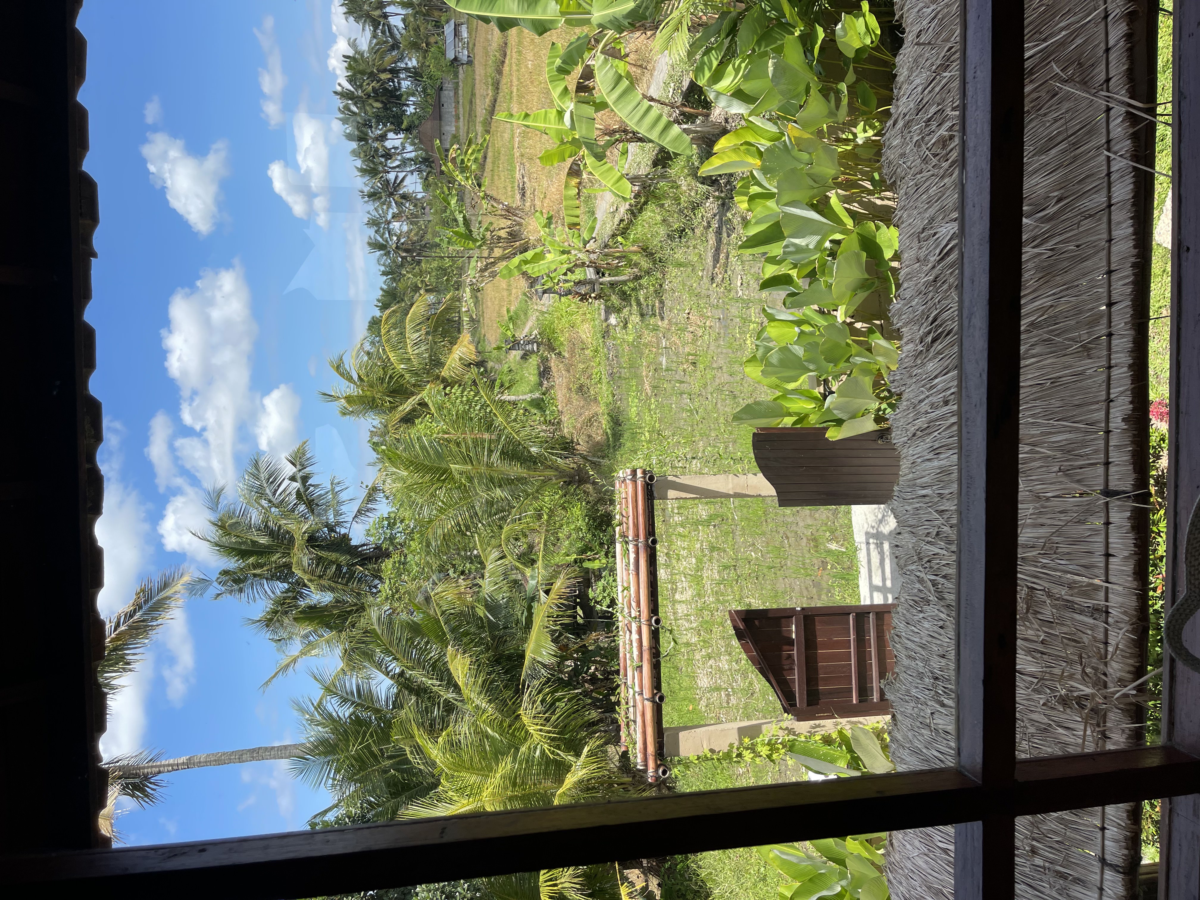 Villa 1 bed 1 in Ubud Mas 15
