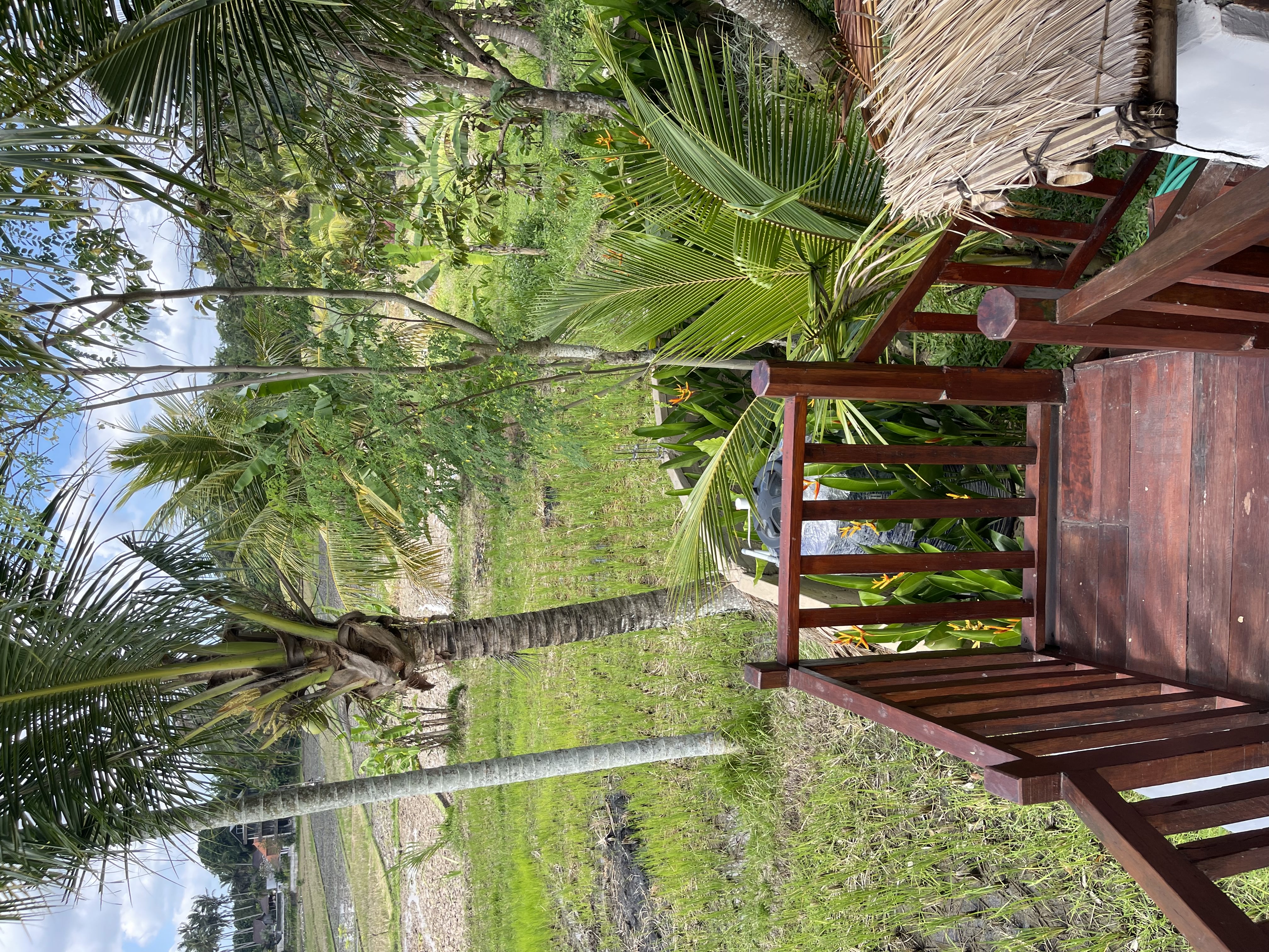 Villa 1 bed 1 in Ubud Mas 17