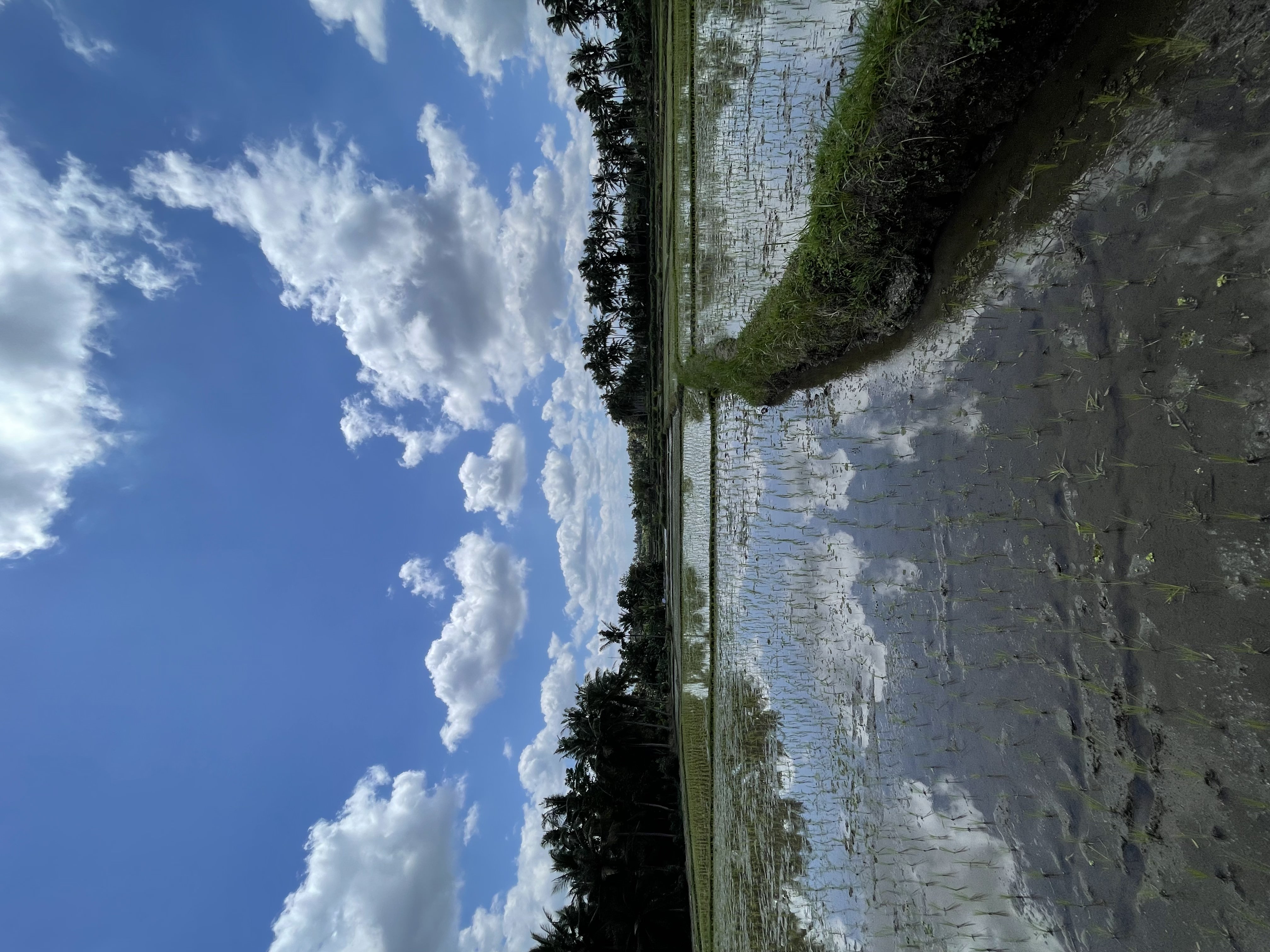 Villa 1 bed 1 in Ubud Mas 7