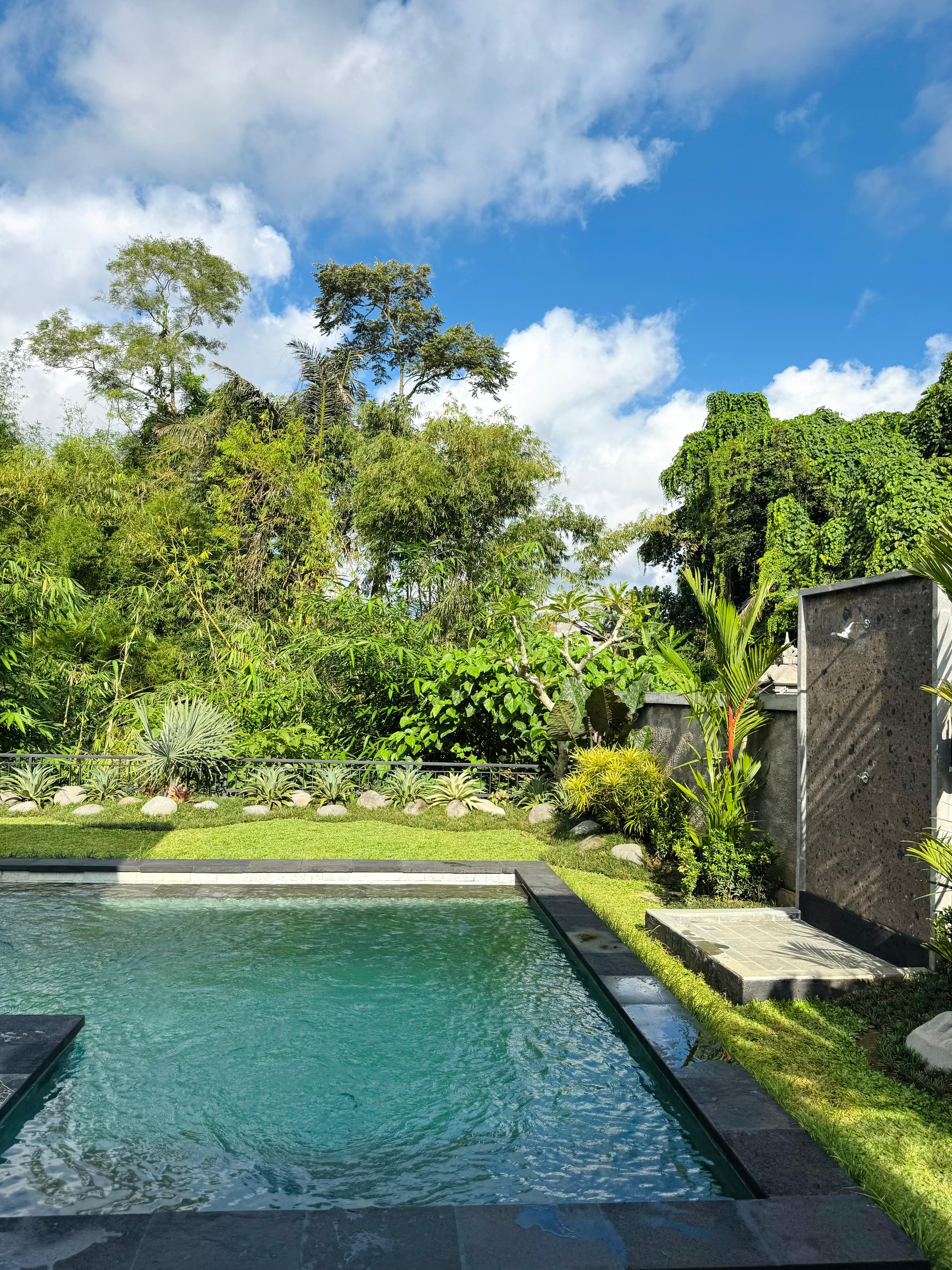 Villa 1 bed 110 in Ubud Petulu 1
