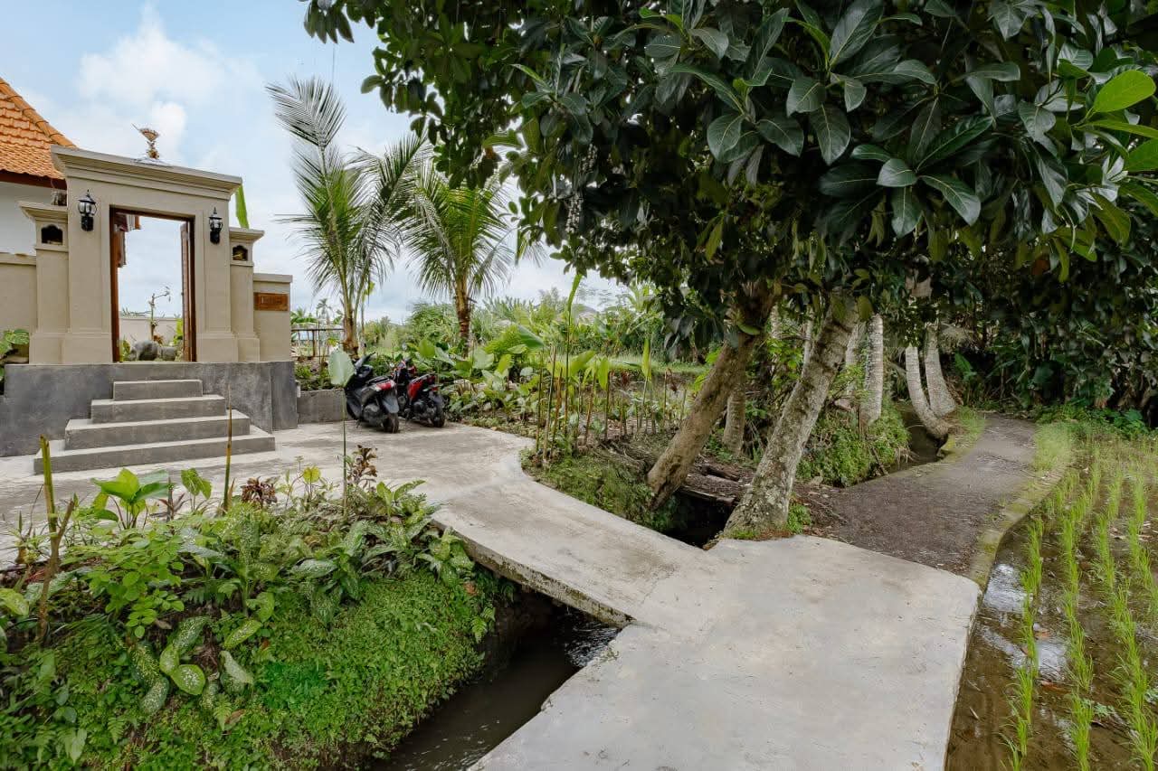 Villa 1 bed 114 in Ubud Keliki 11