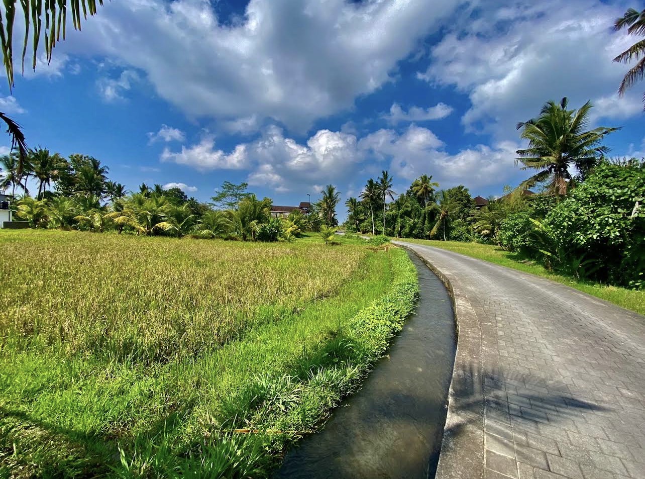Villa 1 bed 125 in Ubud Gentong 2