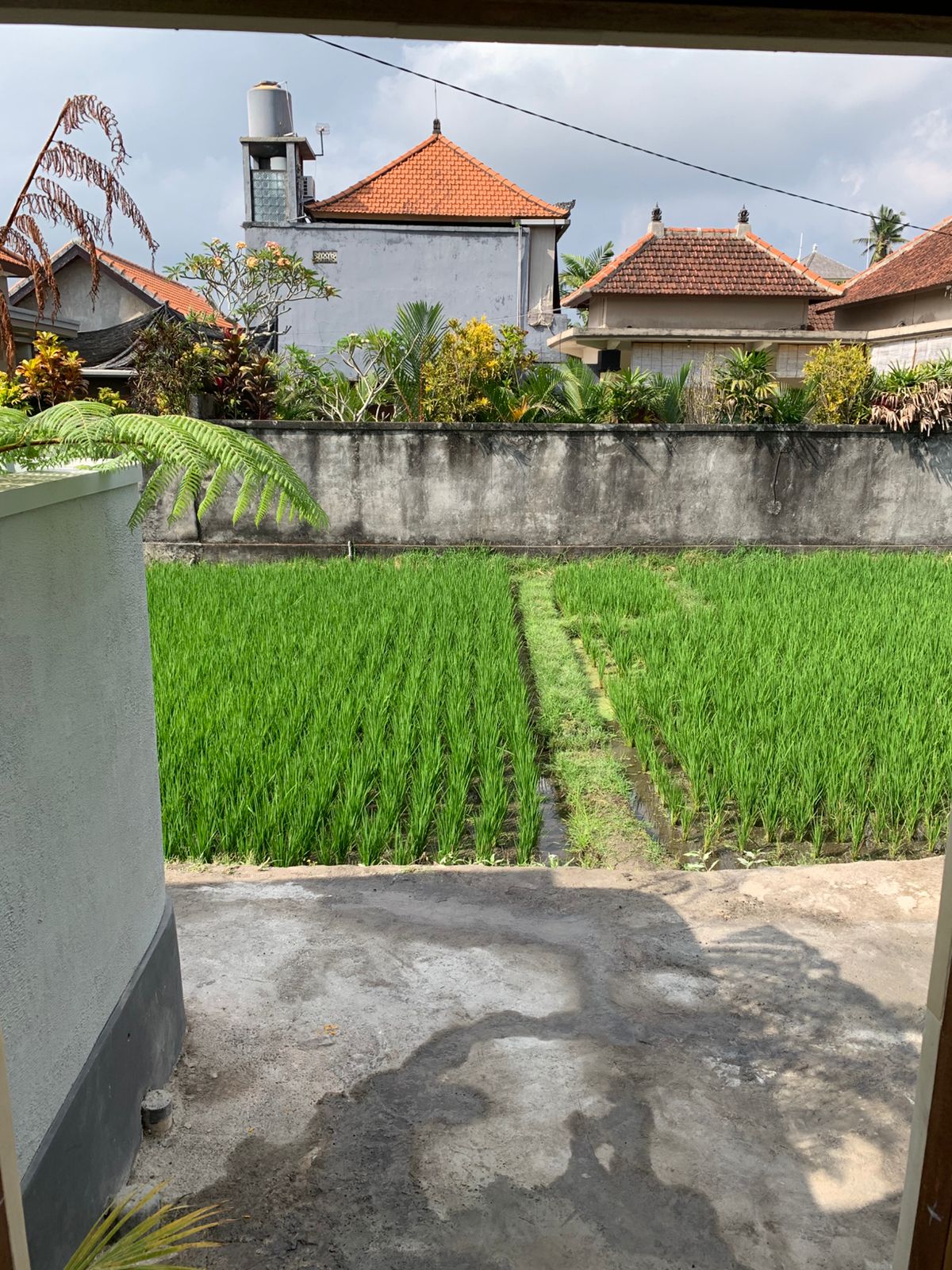 Villa 1 bed 144 in Ubud Penestanan 21