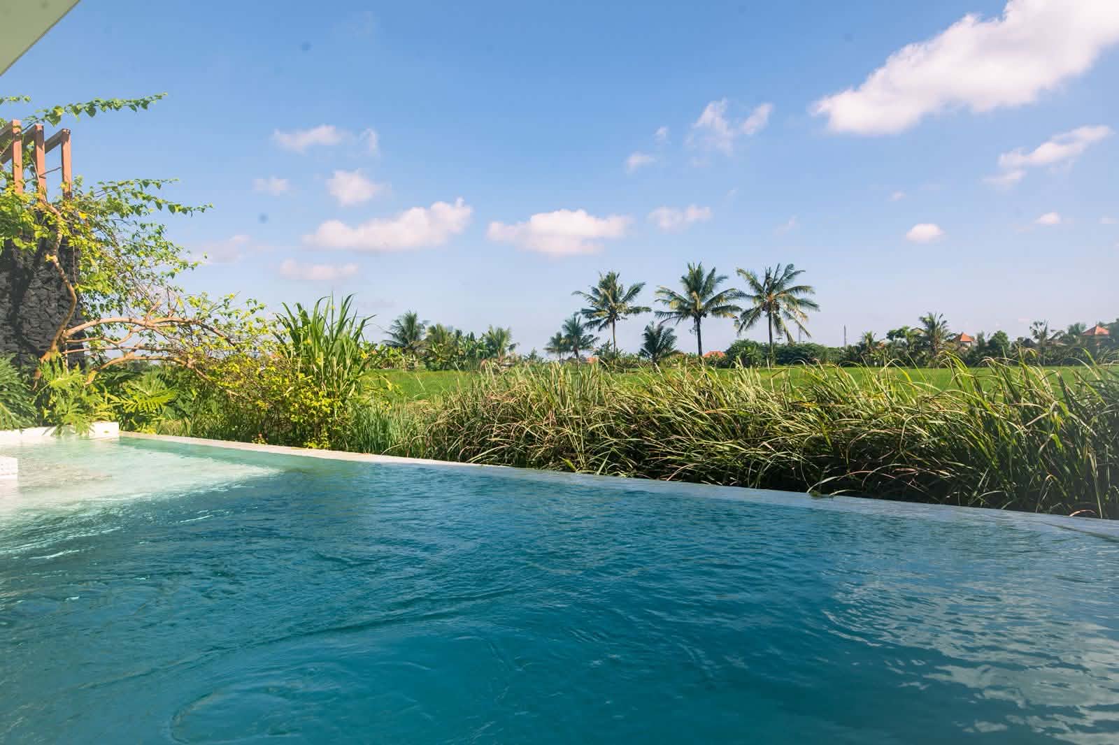 Villa 1 bed 156 in Ubud Sayan 9