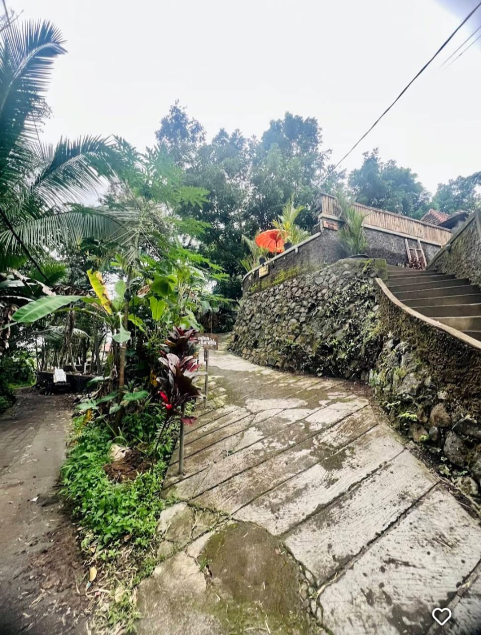 Villa 1 bed 19 in Ubud Petulu 5