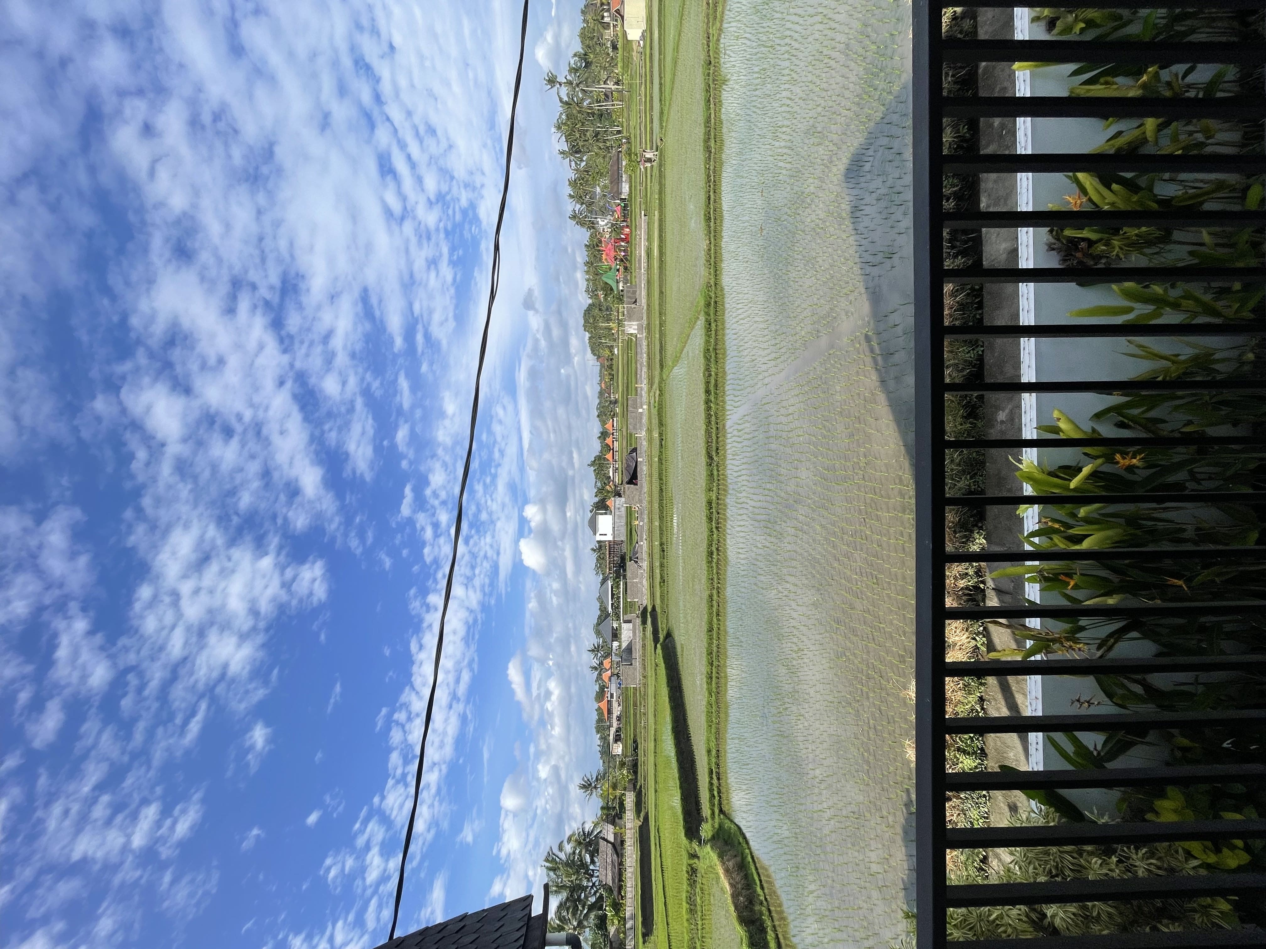 Villa 1 bed 35 in Ubud Tegallalang 8