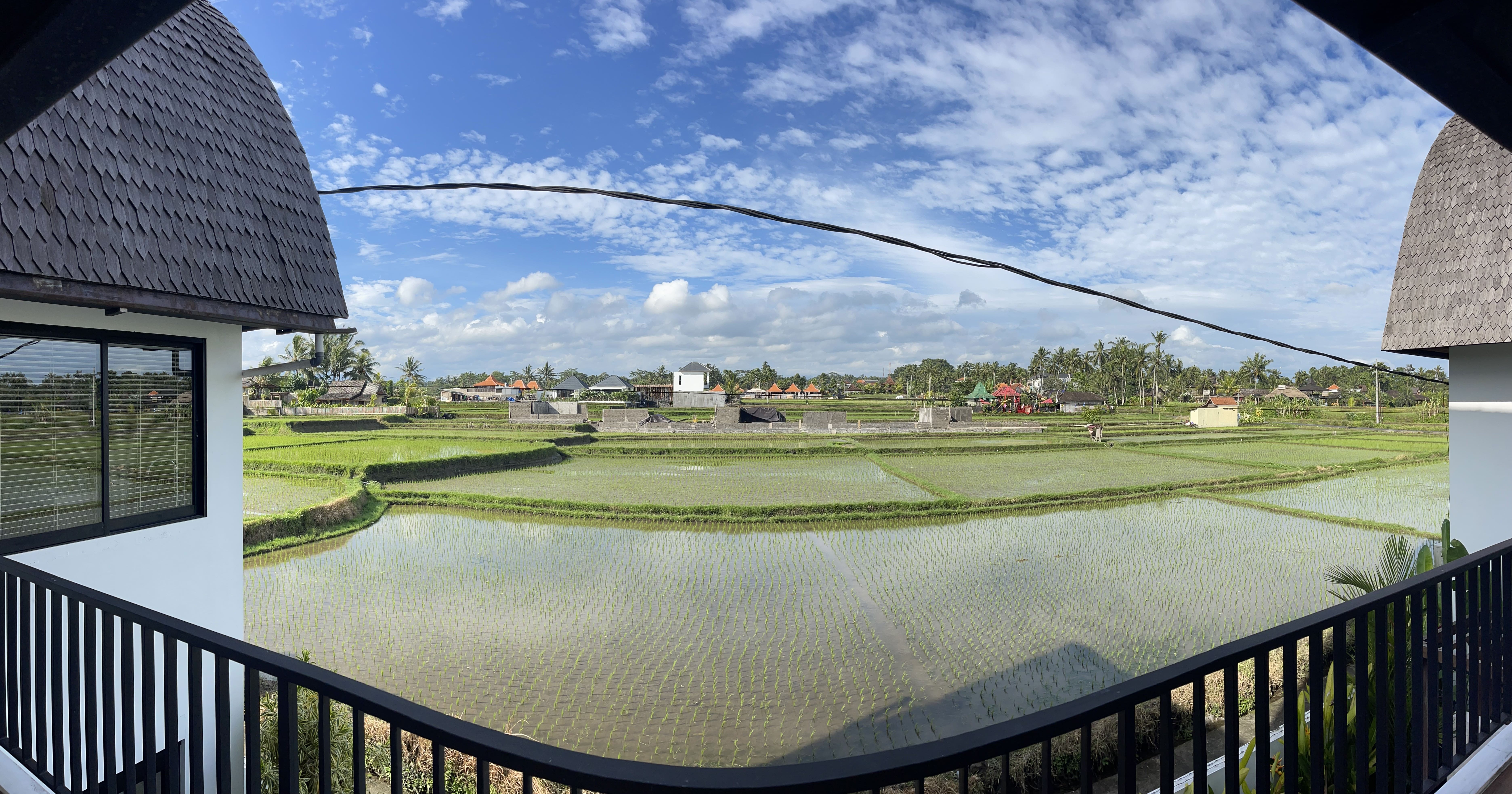 Villa 1 bed 35 in Ubud Tegallalang 9