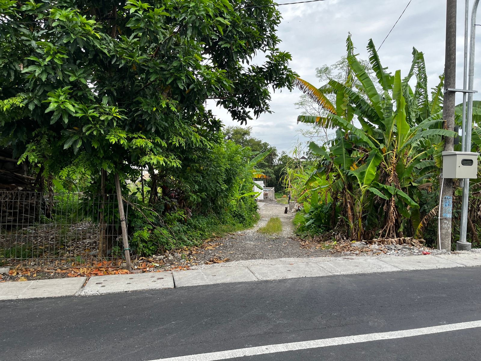 Land 80 in Kerobokan 2