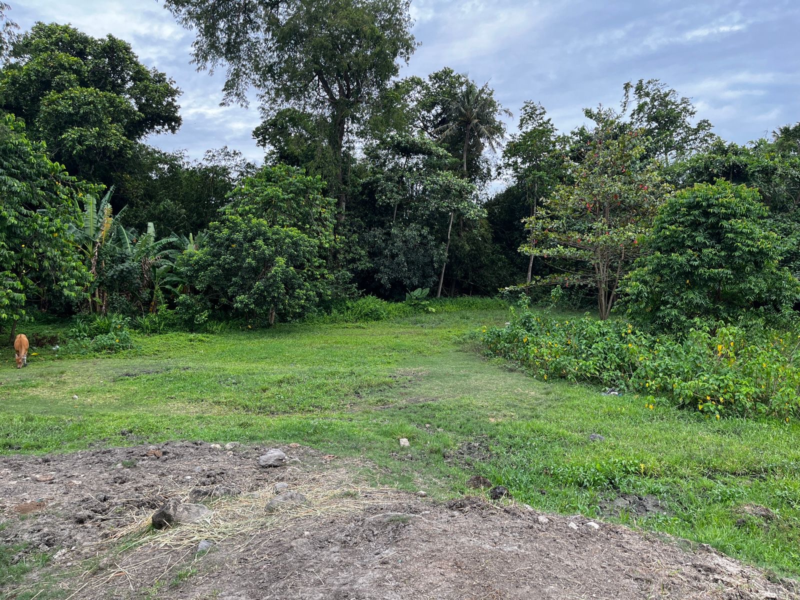 Land 80 in Kerobokan 5