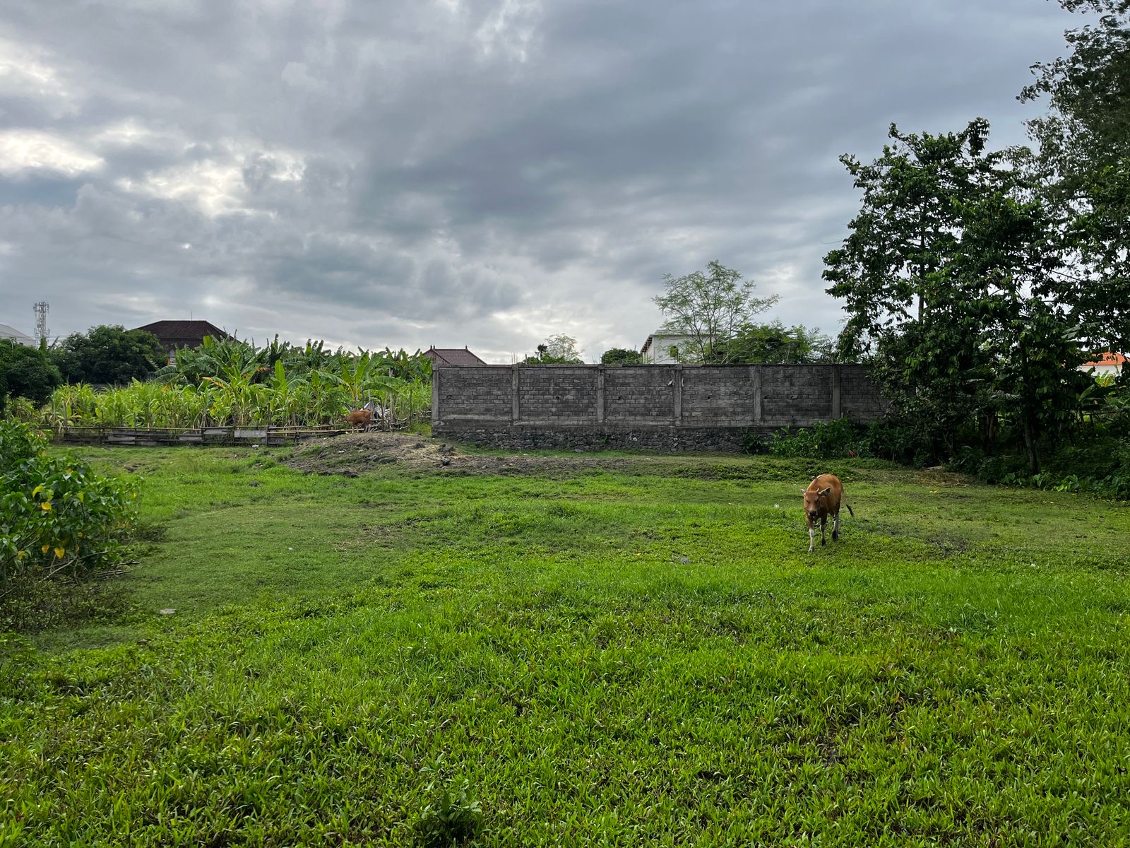 Land 80 in Kerobokan 6