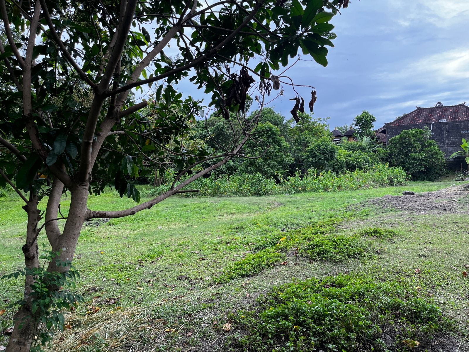 Land 80 in Kerobokan 7