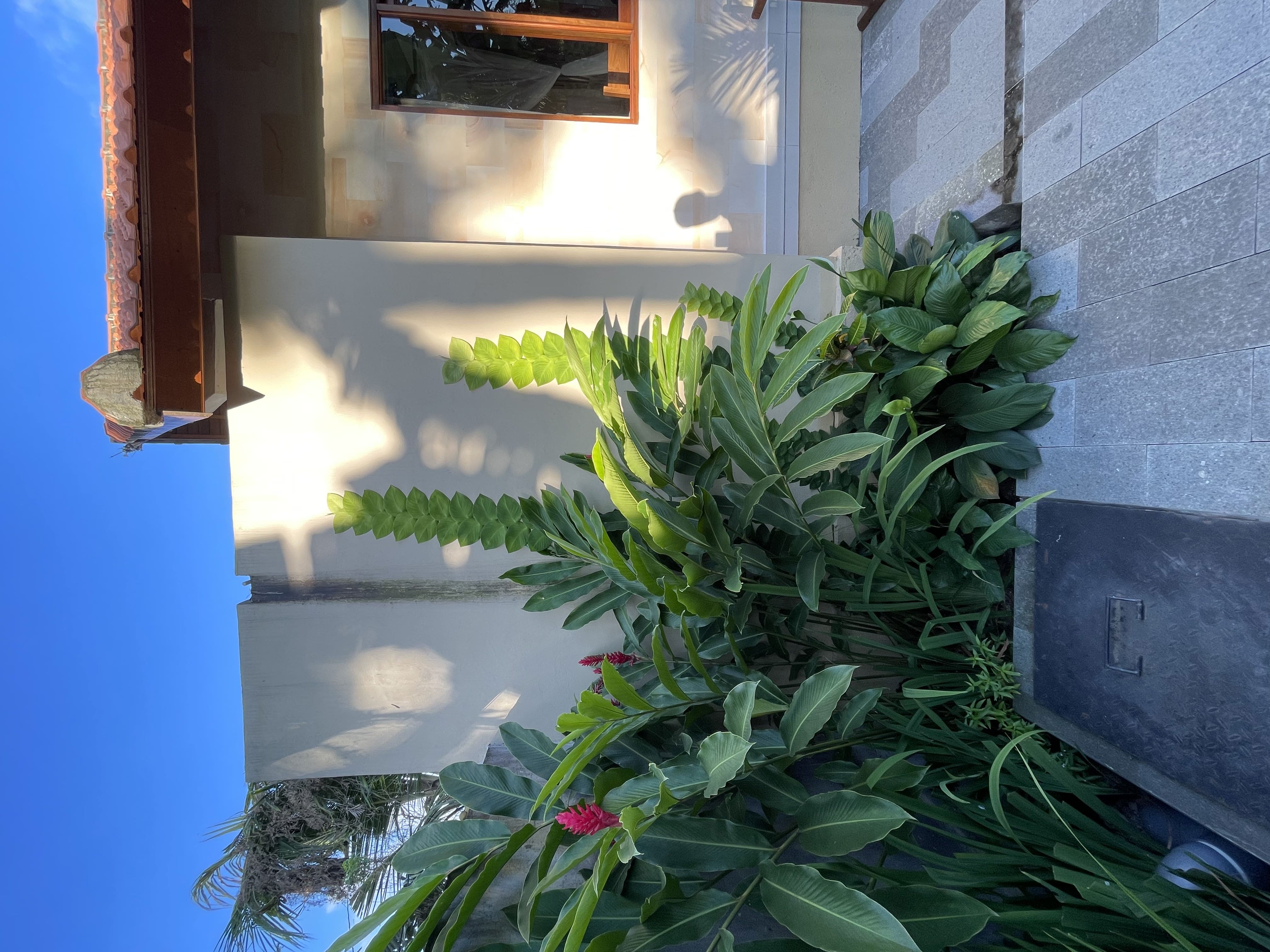 Villa 1 bed S002 in Ubud Penestanan 6