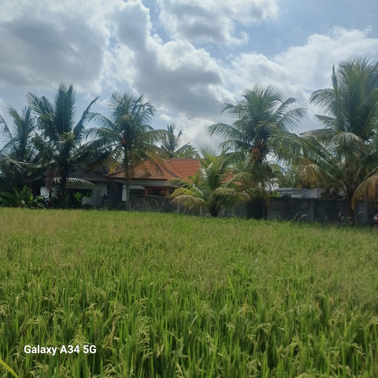 Villa 2 beds 106 in Ubud Gentong 16