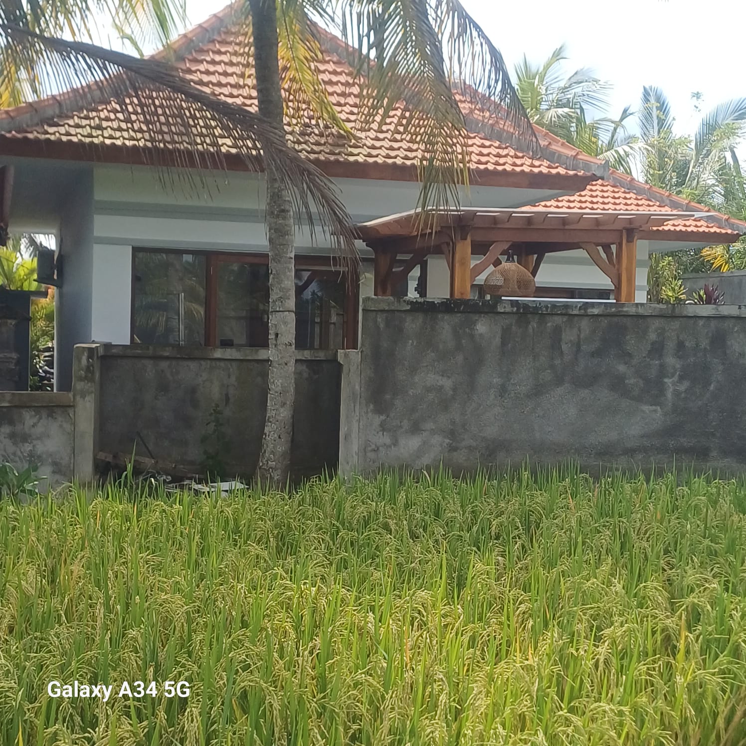 Villa 2 beds 106 in Ubud Gentong 17