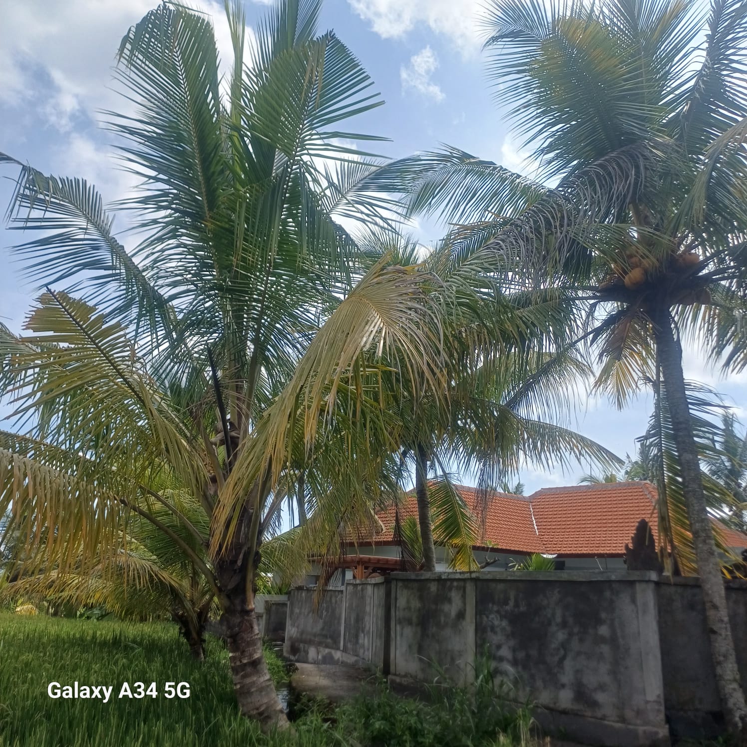 Villa 2 beds 106 in Ubud Gentong 19