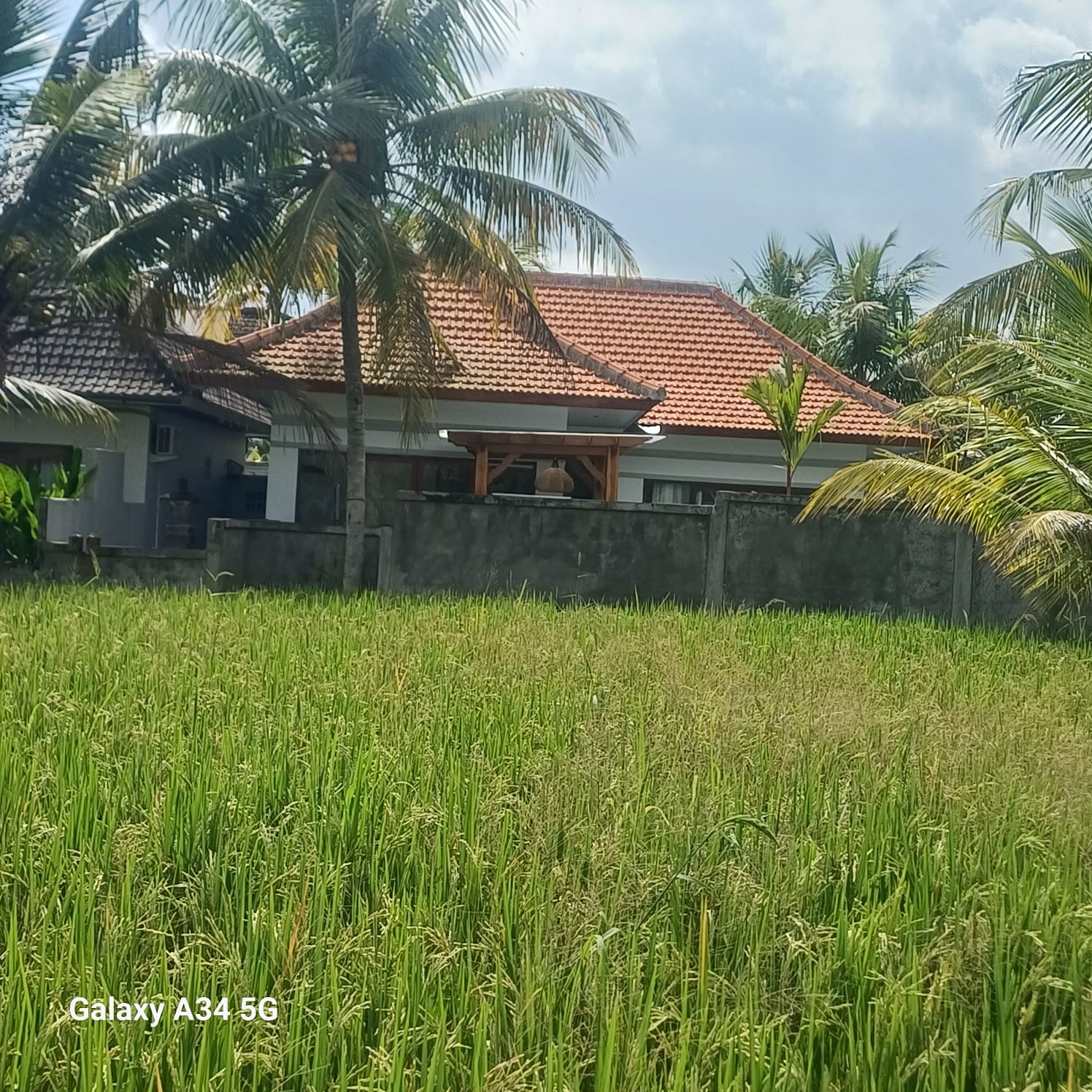 Villa 2 beds 106 in Ubud Gentong 3