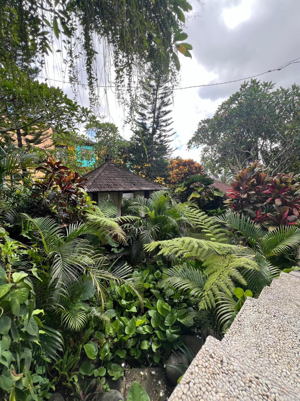Villa 2 beds 128 in Ubud Singakerta 20