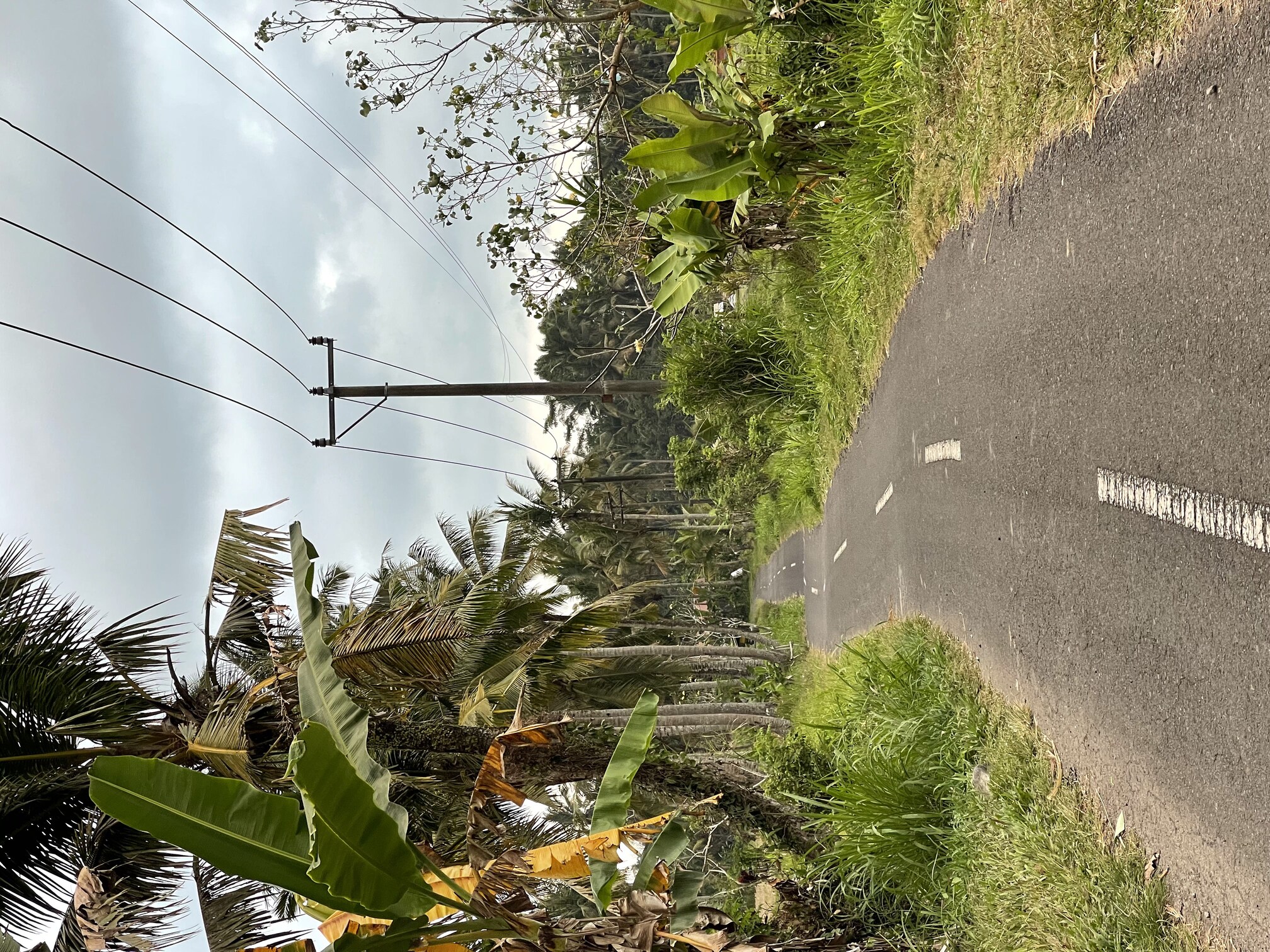Villa 2 beds 141 in Ubud Pejeng 3