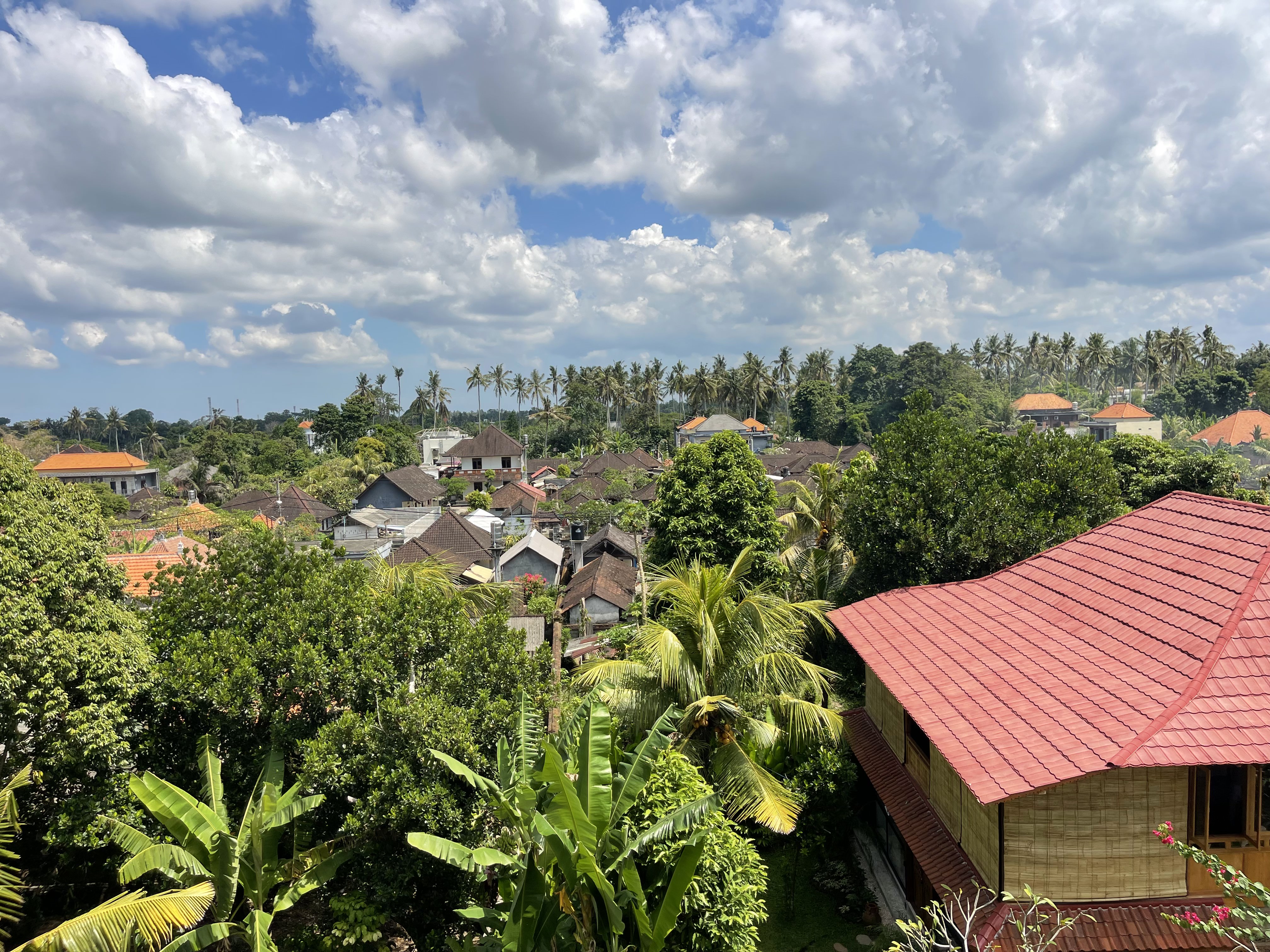 Villa 2 beds 3 in Ubud Lodtunduh 4
