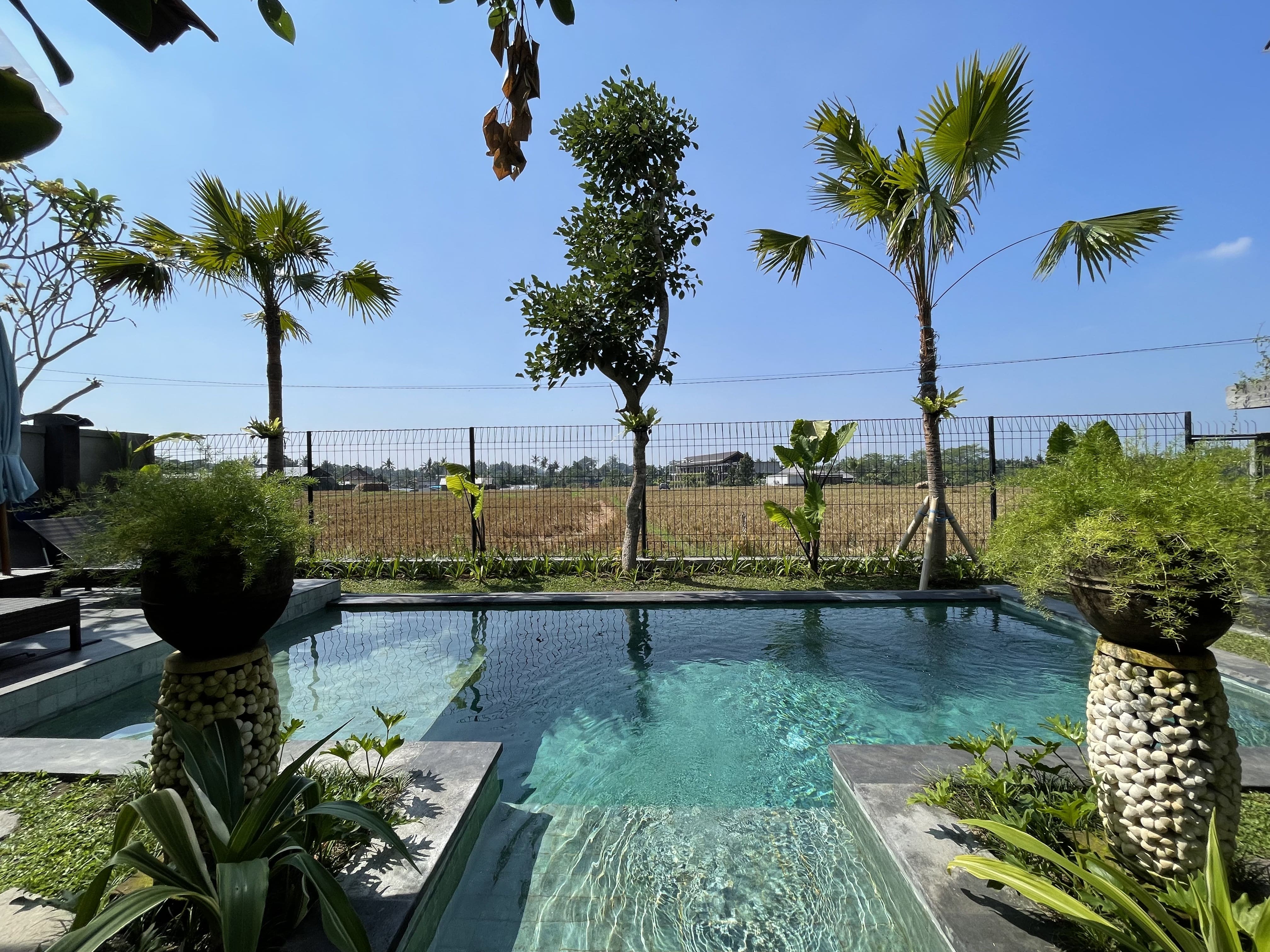 Villa 2 beds 40 in Ubud Lodtunduh 2