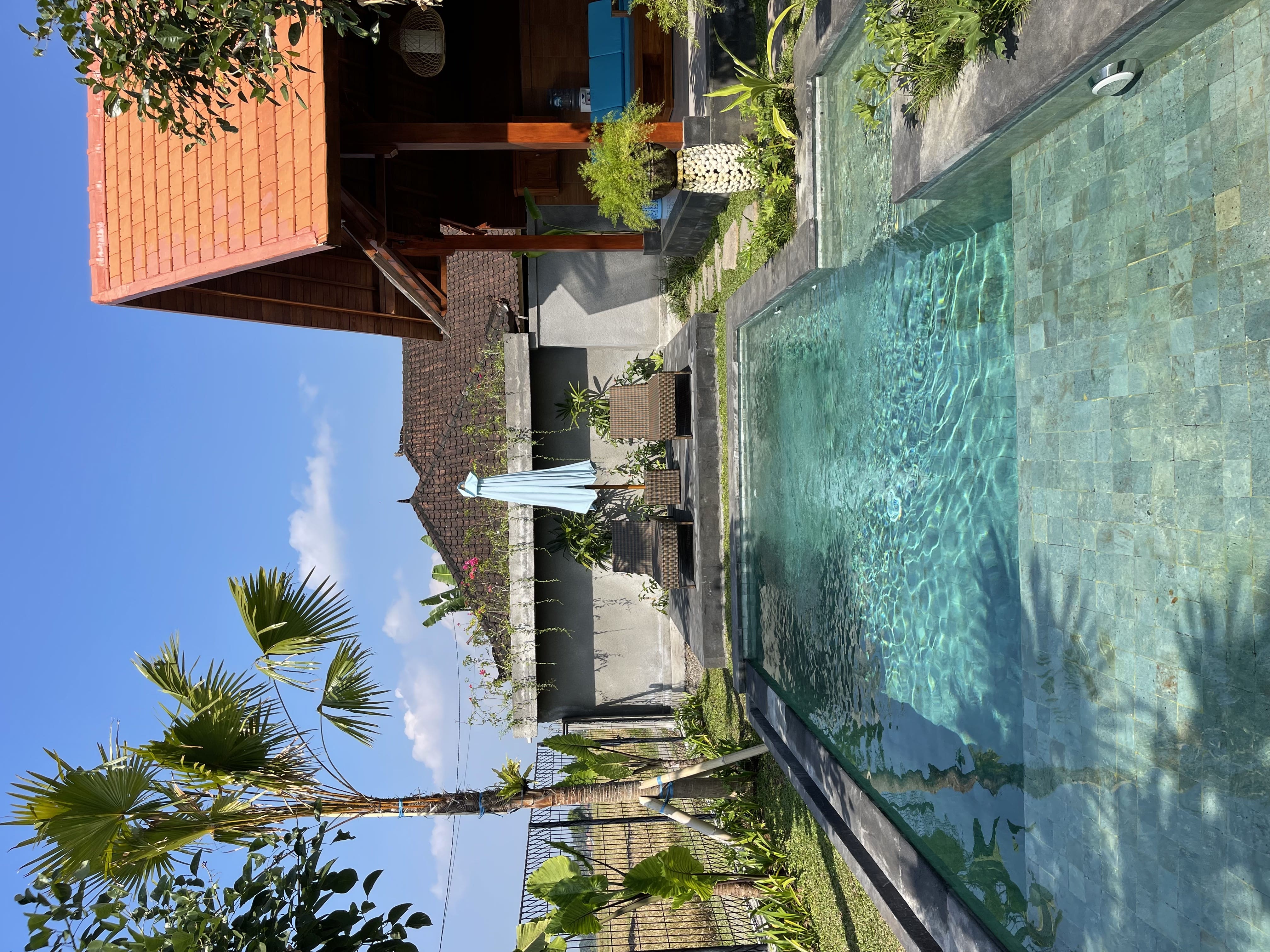 Villa 2 beds 40 in Ubud Lodtunduh 7