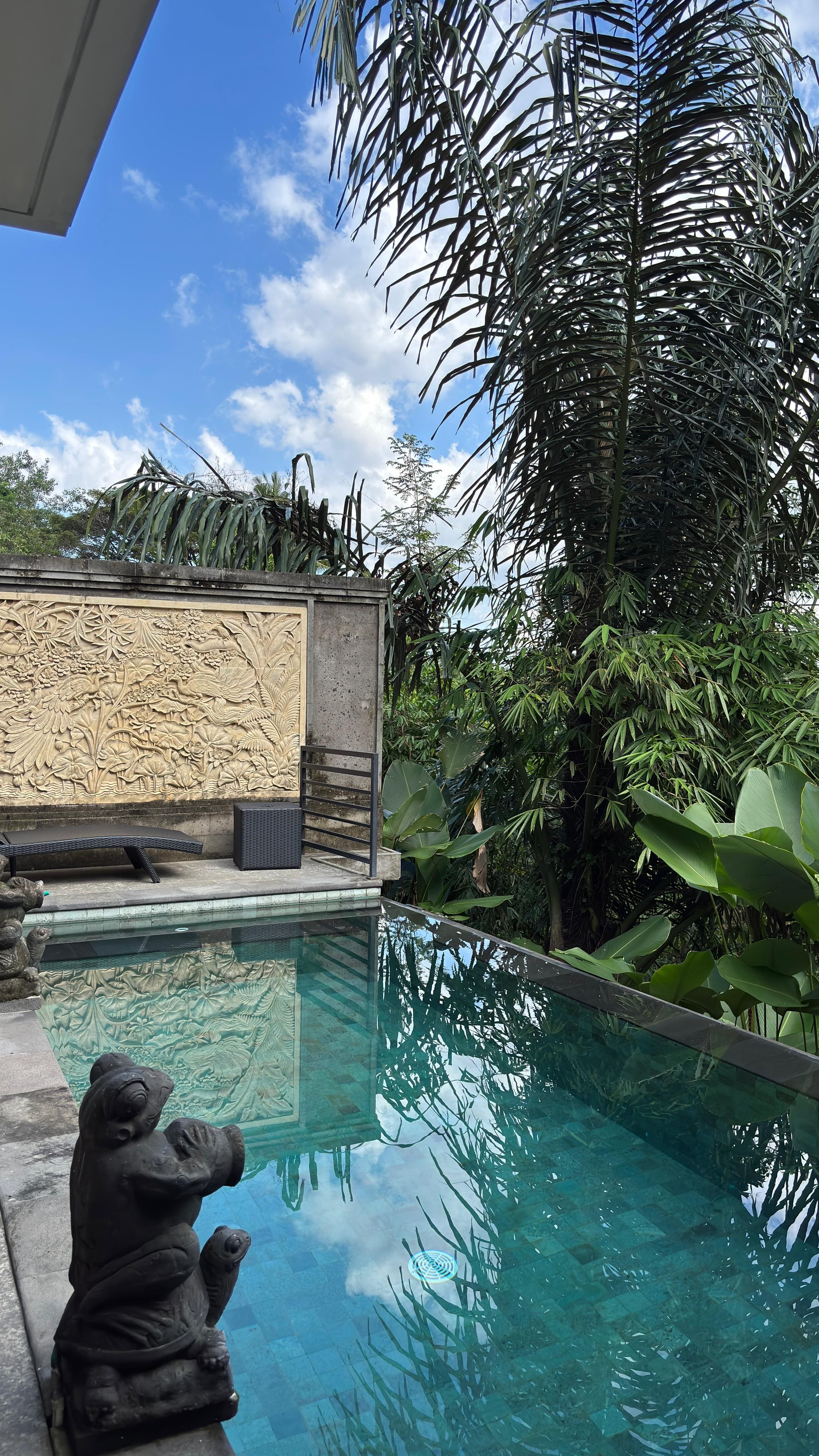 Villa 2 beds 51 in Ubud Sukawati 1