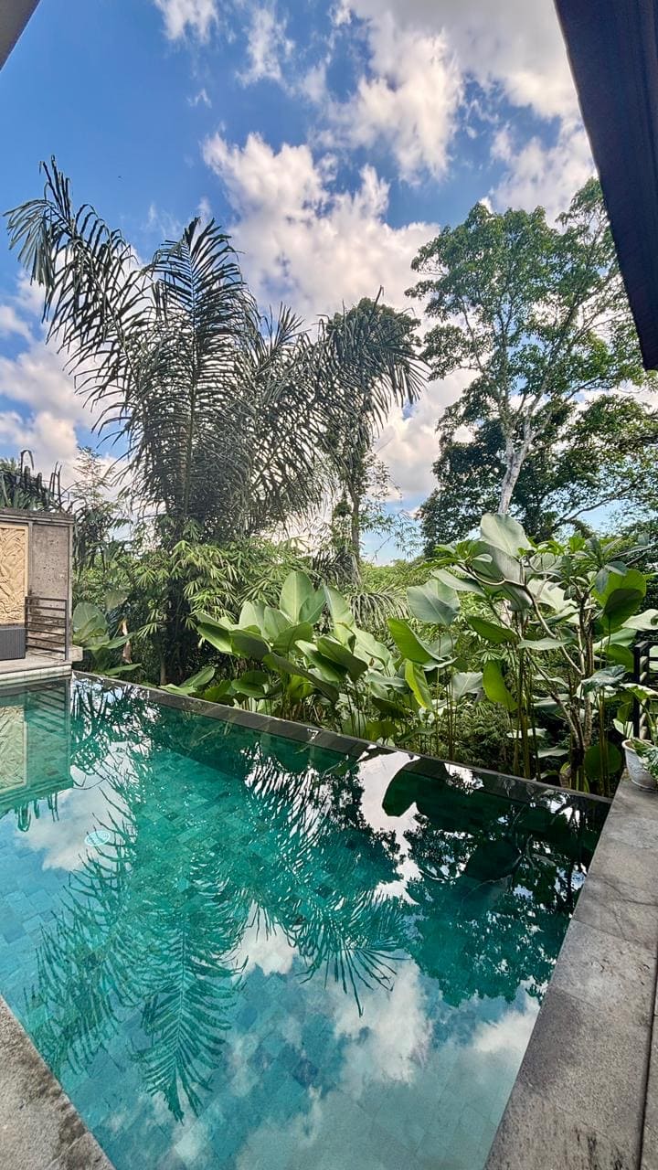 Villa 2 beds 51 in Ubud Sukawati 6