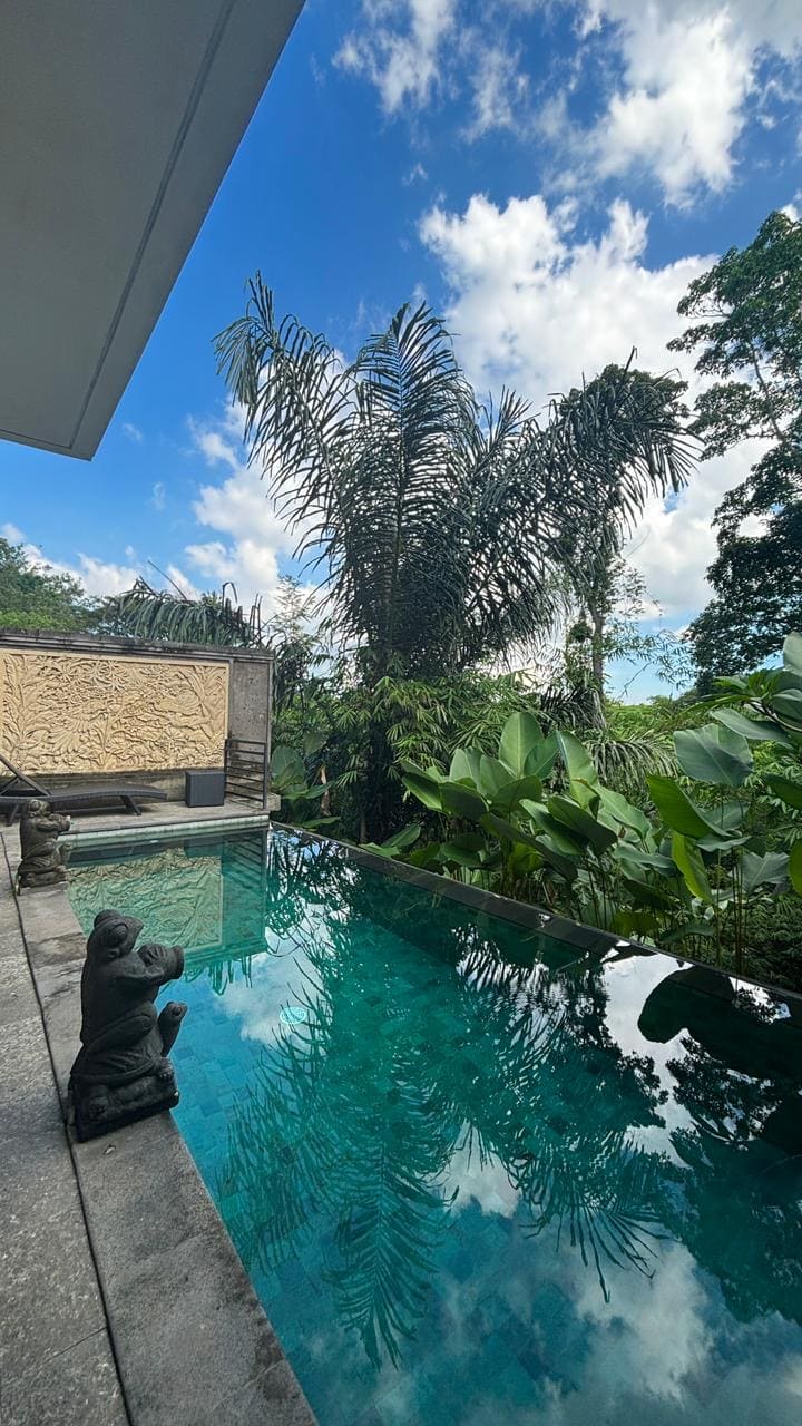 Villa 2 beds 51 in Ubud Sukawati 7