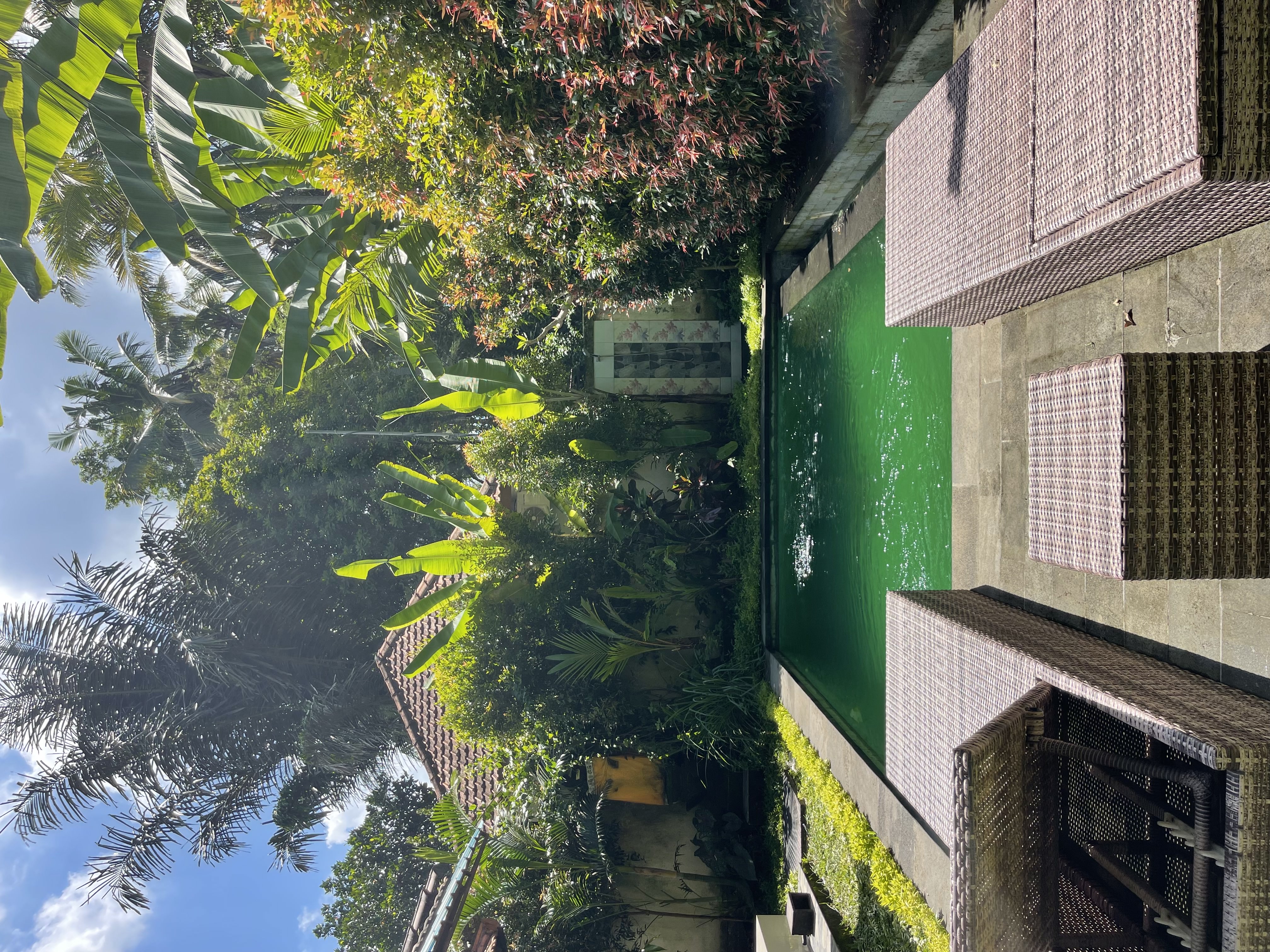 Villa 2 beds 6 in Ubud Lodtunduh 14