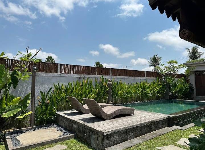 Villa 2 beds S006 in Ubud Singakerta 11