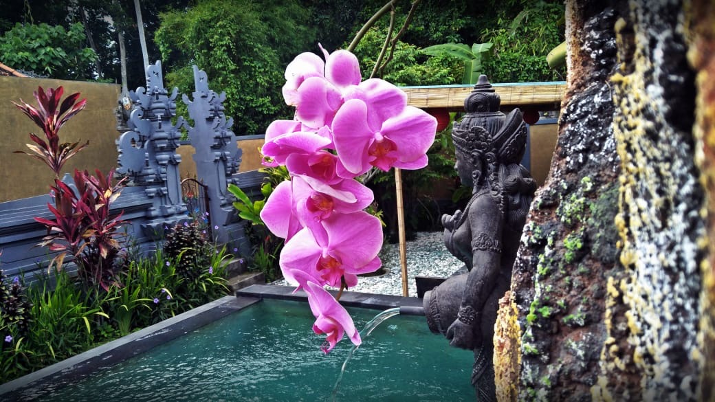 Villa 3 beds 67 in Ubud Lodtunduh 7